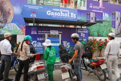 Báo cáo Thủ tướng giải pháp hỗ trợ sản xuất, kinh doanh xăng E5 trước 15/01/2015