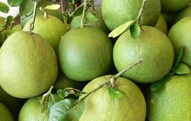 Bưởi da xanh có thể sốt giá cuối năm