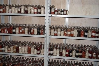 Nga xây ngân hàng ADN chống ngày tận thế