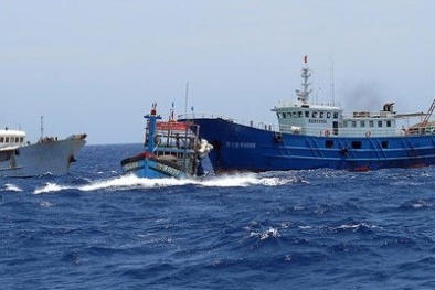 Đường dây nóng Việt - Trung về các đột xuất hoạt động nghề cá trên biển