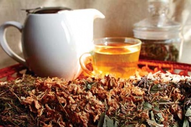 Hại thân vì uống trà thảo mộc quá liều