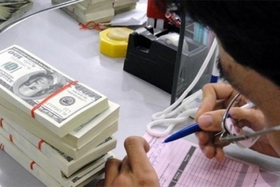 Biến động tỷ giá: Ngân hàng Nhà nước 'chịu chơi' đến đâu?
