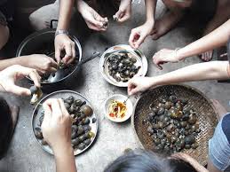 Ngộ độc nặng vì ăn nhầm ốc biển độc
