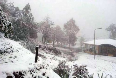 Sa Pa: Tuyết phủ trắng nhiều con đường, có nơi dày hơn 10cm