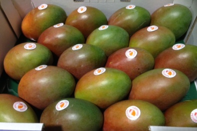 Chủ doanh nghiệp trần tình việc cấm nhập hoa quả Úc