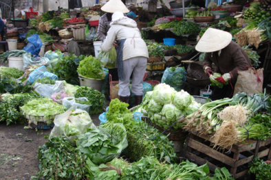 Hà Nội: Giá rau tăng mạnh do thời tiết rét đậm kéo dài