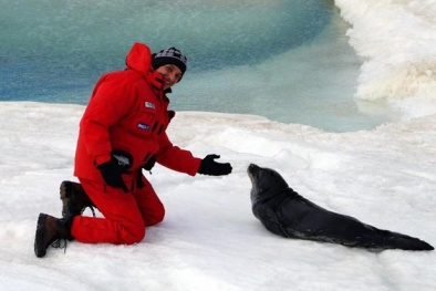 Phát hiện một rừng cây hóa thạch 250 triệu năm tại Nam Cực