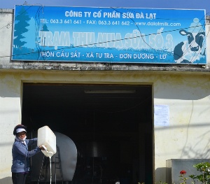 Nông dân bức xúc, doanh nghiệp bất lực phải đổ bỏ sữa bò