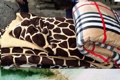 Thật – giả chăn lông cừu