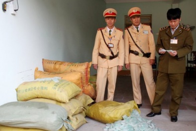 Tạm giữ 258.000 ống hóa chất nghi thuốc kích thích tăng trưởng giá đỗ