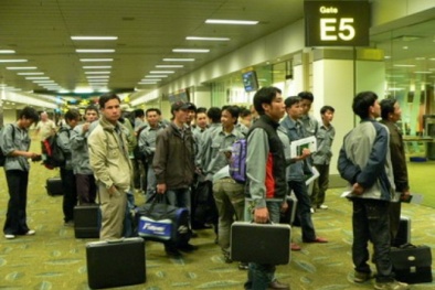 Năm 2014, cả nước có 106.840 lao động đi làm việc ở nước ngoài