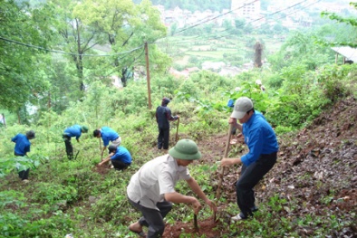 Thủ tướng quyết định bổ sung hơn 319 tỷ đồng cho điều tra, kiểm kê rừng