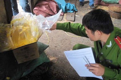 Cà phê toàn đậu, bắp và hóa chất