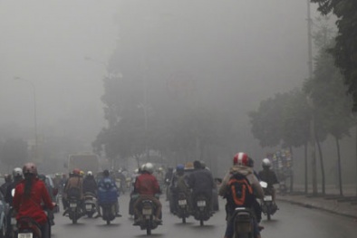 Dự báo thời tiết hôm nay ngày 24/1/2015: Miền Bắc có sương mù vào sáng sớm, ngày nắng