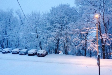 Thế giới qua ảnh về cơn bão tuyết tuyệt đẹp trong ngày 25/1