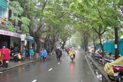 Dự báo thời tiết ngày mai 27/1/2015: Miền Bắc có mưa nhỏ rải rác, miền Nam nắng ấm