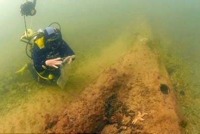 Khu rừng ‘ngủ quên’ dưới đáy biển suốt hàng nghìn năm