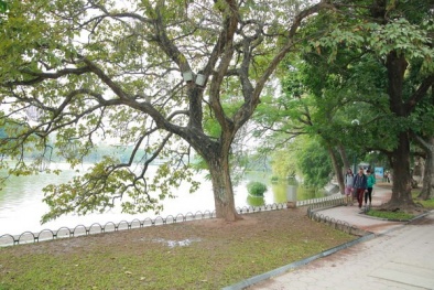 Dự báo thời tiết ngày mai 29/1/2015: Miền Bắc trở lạnh, đón mưa phùn