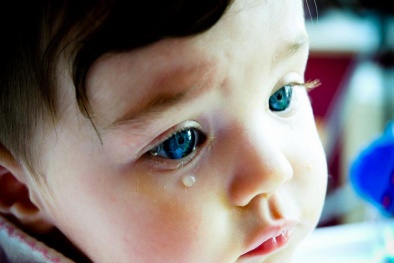 Thiết bị giúp con người tuôn 'nước mắt cá sấu'