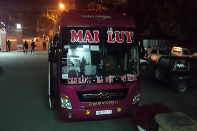 Mùi lạ trong cốp xe khách: 20 cá thể linh trưởng bị phát hiện