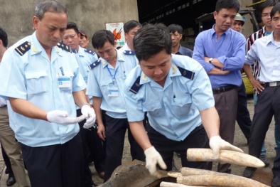 Hải quan: Xử lý 10 chuyên án với trị giá hàng hóa vi phạm trên 321 tỷ đồng
