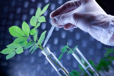 Nhiều nhà khoa học sắp được tăng lương