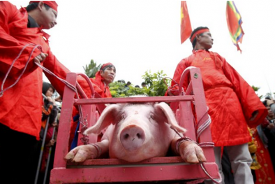 Nguyên nhân lễ hội Chém lợn ở Bắc Ninh bị lên án gay gắt