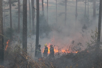 Quảng Ninh: Người dân dọn rừng 'nướng' 6 hecta keo trong biển lửa