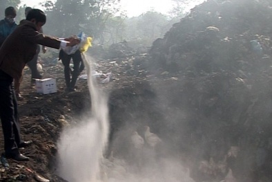 Quảng Trị: Phát hiện, tiêu hủy cả tấn gà 'vượt biên'