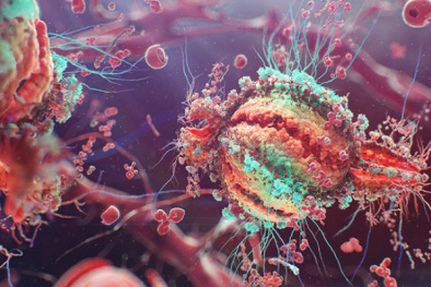 Nghiên cứu thành công cách 'xoá sổ' virut HIV