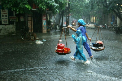 Tổng quan dự báo thời tiết và bão lớn trong năm 2015