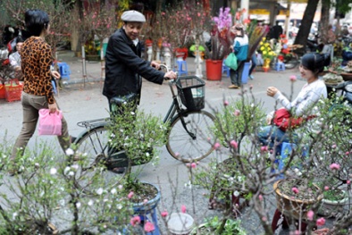 Dự báo thời tiết ngày mai 5/2/2015: Miền Bắc mưa rét, nhiệt độ giảm sâu