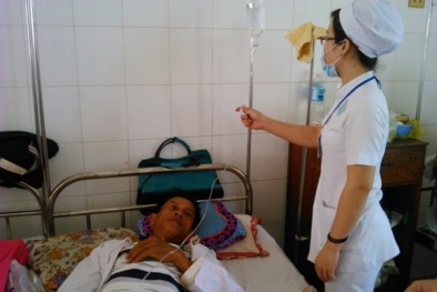 Người chết, kẻ nhập viện vì ăn nhầm so biển