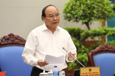 Phó Thủ tướng Nguyễn Xuân Phúc chỉ đạo không làm oan người vô tội
