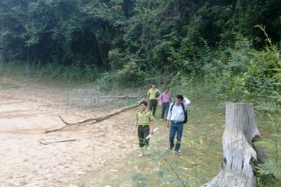 Thanh Hóa: Côn đồ say rượu truy sát kiểm lâm