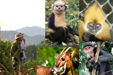 Gần 5 triệu Euro hỗ trợ bảo tồn và sử dụng bền vững đa dạng sinh học