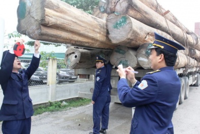 Tin tức pháp luật mới nhất 24h hôm nay ngày 5/2