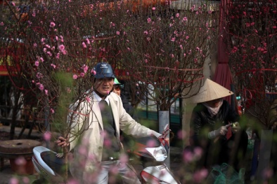 Dự báo thời tiết ngày mai 08/02: Miền Bắc lại chìm trong mưa rét, nhiệt độ giảm sâu