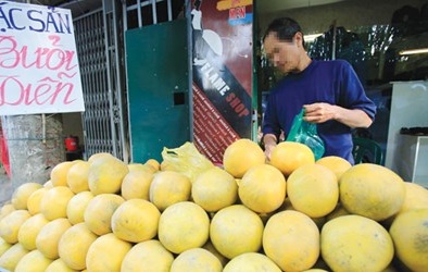 Đủ kiểu 'đặc sản' đội lốt dịp Tết