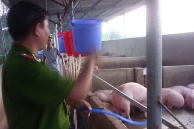 Né thịt bẩn, thịt bơm nước: Cách nào?