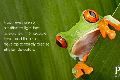 Khám phá 20 sự thật thú vị về ánh sáng 