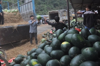 Nghìn tấn hoa quả dồn ứ trải dài 30 km ở cửa khẩu Tân Thanh