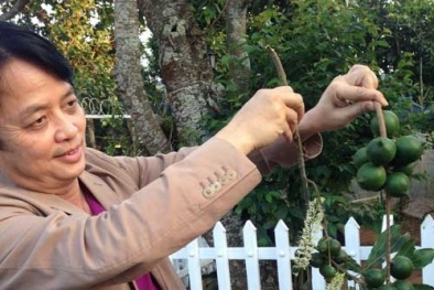 Kỳ vọng 'chiến lược mắc ca' tại Tây Nguyên thành công