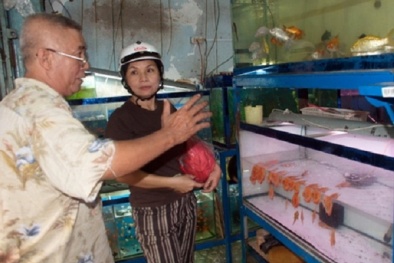 Quà Tết: Độc, lạ và đắt không tưởng với một số người