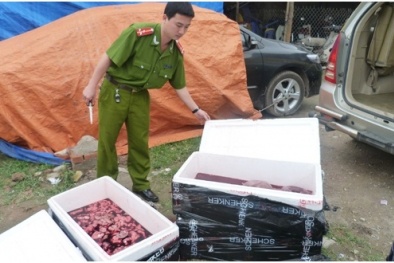 Hà Nội: Gần 7 tần thủy sản lậu, nầm lợn thối bị phát hiện