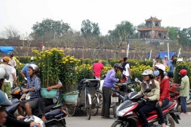 Dự báo thời tiết ngày mai 10/02: Nhiệt độ tăng nhẹ, miền Bắc ấm áp