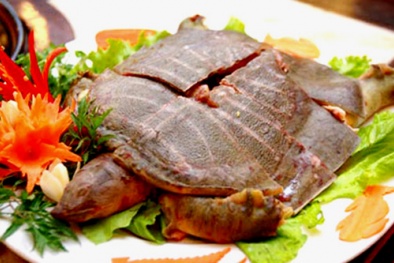 Những lưu ý khi ăn thịt ba ba 