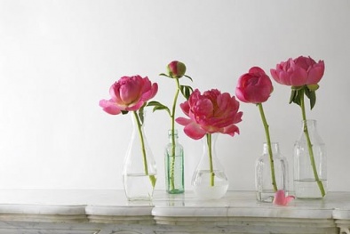 Trang trí nhà đón Tết với bình hoa handmade