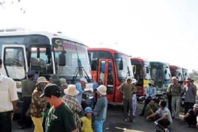 TP.HCM: Quản lý tài xế từ xa bằng công nghệ hiện đại