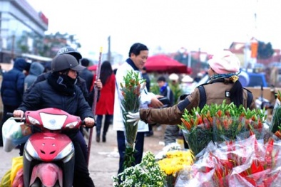 Dự báo thời tiết ngày mai 12/02: Không khí lạnh biến tính, miền Bắc lại mưa rét